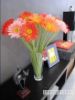 Picture of Artificial Gerbera *3 color