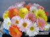 Picture of Artificial Gerbera *3 color