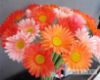 Picture of Artificial Gerbera *3 color