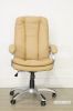 Picture of MAGNUM Executive Office Chair in Beige Color