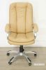 Picture of MAGNUM Executive Office Chair in Beige Color