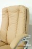 Picture of MAGNUM Executive Office Chair in Beige Color