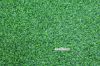 Picture of 17mm Artificial Grass Multi Mat - Per Lineal Meter