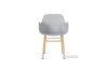 Picture of HARLOW Dining Chair *Plastic