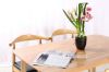 Picture of WINDSOR Solid Wood Dining Chair (Natural Colour) - Each