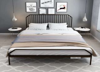 Picture of Philippa Steel Frame Bed in Single Size