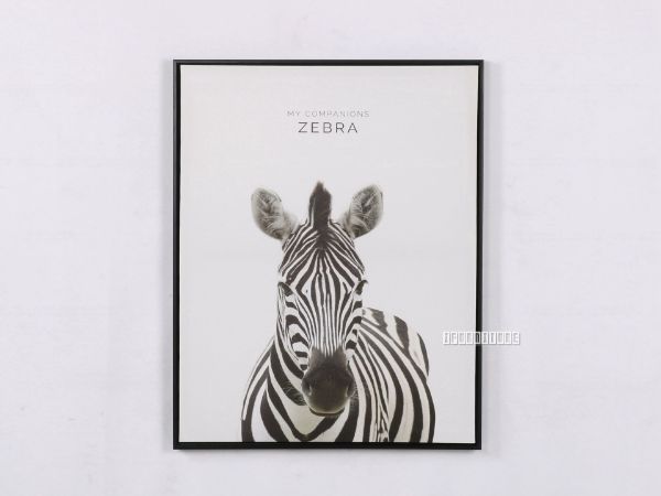 Picture of ZEBRA 55X70 Canvas Framed Print