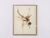 Picture of REINDEER 55X70 Canvas Framed Print