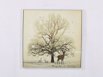 Picture of Tree 40x40 Canvas Framed Print