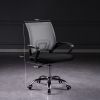 Picture of CITY Office Chair - Grey Back