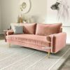 Picture of HENRY Sofa (Rose Velvet) - 2 Seat