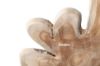 Picture of BARON Solid Teakwood Display Abstract - 30