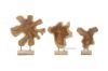 Picture of BARON Solid Teakwood Display Abstract - 30