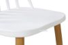 Picture of SKODA Wood Dining Chair *Black / White
