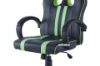 Picture of HALVERSON PU Gaming Office Chair (Black and Green)