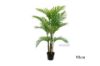 Picture of ARTIFICIAL PLANT Palm (Black Plastic Pot) - H150cm