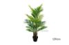 Picture of ARTIFICIAL PLANT Palm (Black Plastic Pot) - H180cm