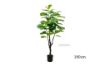 Picture of Artificial Plant 120/150/180cm Fiddle Leaf (Black Plastic Pot)