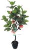 Picture of ARTIFICIAL PLANT Apple Tree with Black Plastic Pot (125cm Tall)