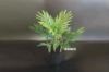 Picture of Artificial Plant Palm *Black Plastic Pot - 120cm