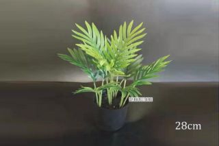 Picture of Artificial Plant Palm *Black Plastic Pot - 28cm