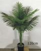Picture of ARTIFICIAL PLANT 28/85/120cm Palm (Black Plastic Pot)
