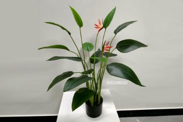 Picture of ARTIFICIAL PLANT Bird of Paradise with 16 Leaves and 2 Flowers (90cm Tall)