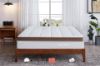 Picture of DREAMLAND Gel Memory Foam Latex Pocket Spring Mattress in King Size