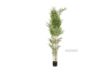 Picture of Artificial Plant 210cm Bamboo *Black Plastic Pot