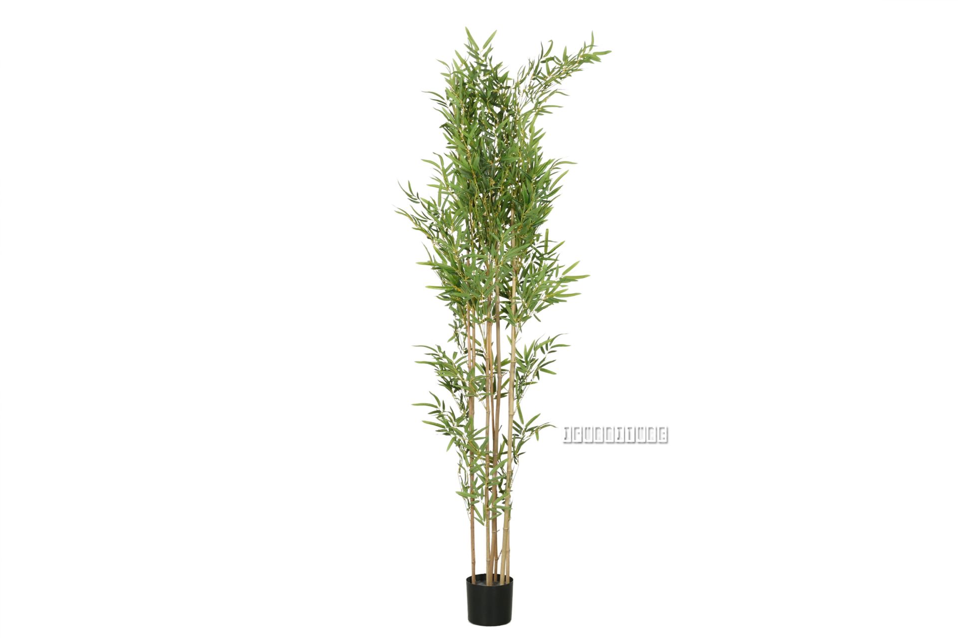 Artificial Plant 210cm Bamboo *Black Plastic Pot