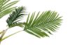 Picture of ARTIFICIAL PLANT PALM (H360cm) - Palm Only