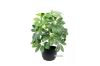 Picture of ARTIFICIAL PLANT 117 Leaves (50cm)