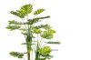 Picture of ARTIFICIAL PLANT Monstera Delicosa (170cm)