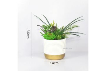 Picture of ARTIFICIAL PLANT 280 with Vase (14x36cm)