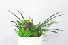 Picture of ARTIFICIAL PLANT 280 with Vase (14x36cm)