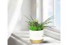 Picture of ARTIFICIAL PLANT 280 with Vase (14x36cm)