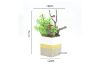 Picture of ARTIFICIAL PLANT 283 with Vase (18x24cm)