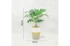 Picture of ARTIFICIAL PLANT 284 with Vase (34cm x 45cm)