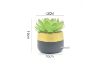 Picture of ARTIFICIAL PLANT 285 with Vase (12cm x 19cm)