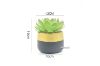 Picture of ARTIFICIAL PLANT 285 with Vase (12x19cm)