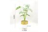 Picture of ARTIFICIAL PLANT 282 with Vase (14.5x50cm)