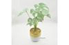 Picture of ARTIFICIAL PLANT 282 with Vase (14.5x50cm)