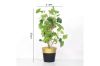 Picture of ARTIFICIAL PLANT 286 with Vase (31x50cm)