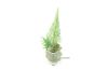 Picture of ARTIFICIAL PLANT 287 with Vase (6.5cm x 20cm)