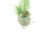 Picture of ARTIFICIAL PLANT 287 with Vase (6.5cm x 20cm)