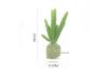 Picture of ARTIFICIAL PLANT 288 with Vase (6.5x20cm)