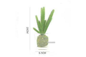 Picture of ARTIFICIAL PLANT 288 with Vase (6.5x20cm)