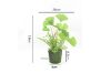 Picture of ARTIFICIAL PLANT 292 with Moss Vase (20x28cm)