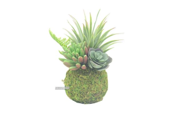 Picture of ARTIFICIAL PLANT 293 with Vase (8cm x 18cm)