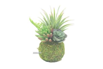 Picture of ARTIFICIAL PLANT 293 with Vase (8x18cm)